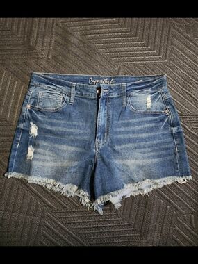 Cupofash Women's Medium Blue Distressed Denim Shorts
